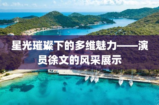 星光璀璨下的多维魅力——演员徐文的风采展示