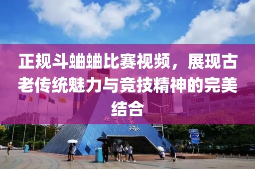 正规斗蛐蛐比赛视频，展现古老传统魅力与竞技精神的完美结合