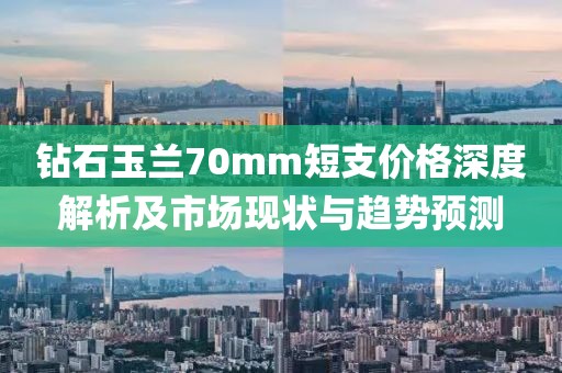 钻石玉兰70mm短支价格深度解析及市场现状与趋势预测