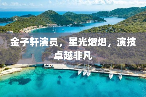 金子轩演员，星光熠熠，演技卓越非凡