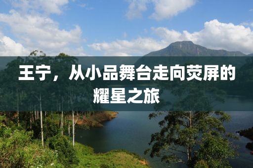 王宁，从小品舞台走向荧屏的耀星之旅