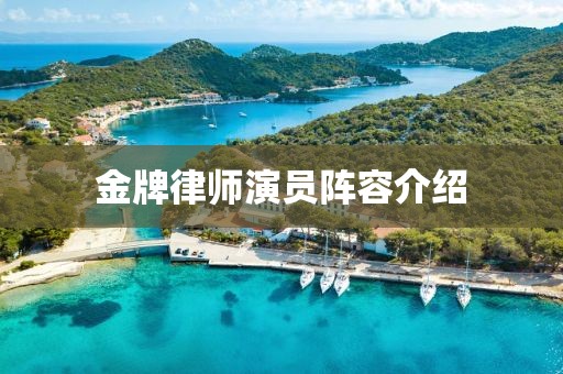 金牌律师演员阵容介绍