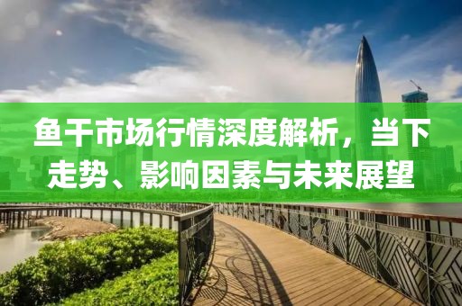 鱼干市场行情深度解析，当下走势、影响因素与未来展望
