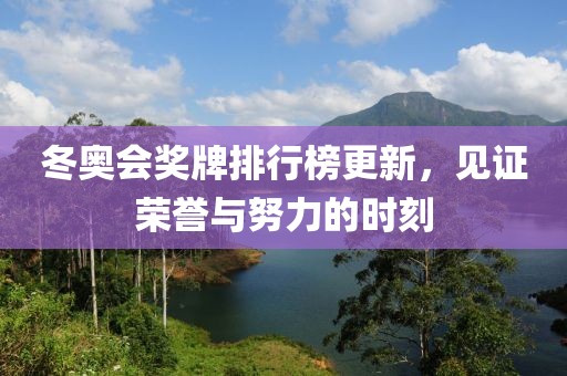 冬奥会奖牌排行榜更新，见证荣誉与努力的时刻