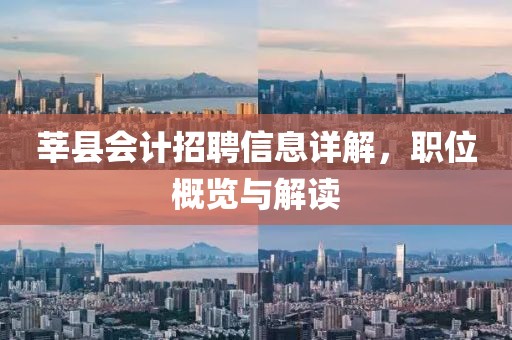 莘县会计招聘信息详解，职位概览与解读