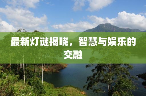 最新灯谜揭晓，智慧与娱乐的交融