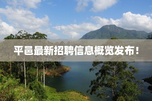 平邑最新招聘信息概览发布！