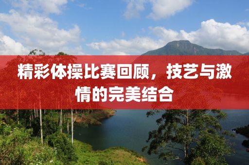 精彩体操比赛回顾，技艺与激情的完美结合