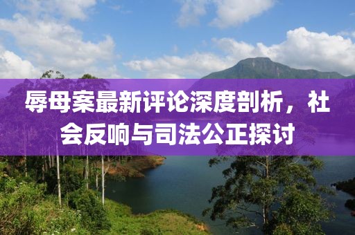 辱母案最新评论深度剖析，社会反响与司法公正探讨