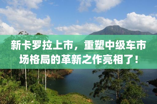 新卡罗拉上市，重塑中级车市场格局的革新之作亮相了！