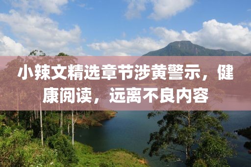 小辣文精选章节涉黄警示，健康阅读，远离不良内容