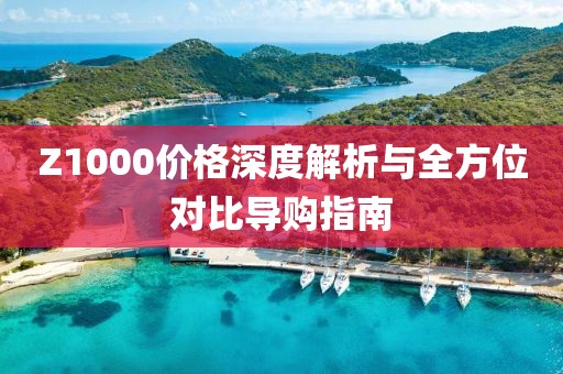 Z1000价格深度解析与全方位对比导购指南