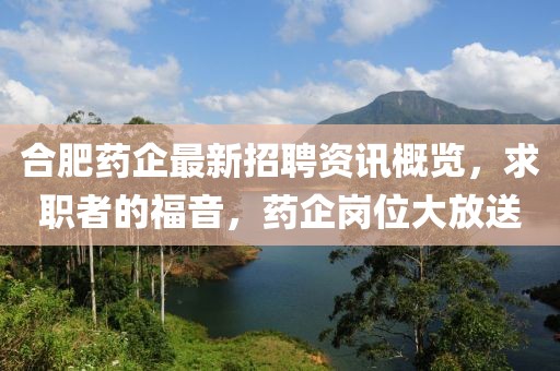 合肥药企最新招聘资讯概览，求职者的福音，药企岗位大放送