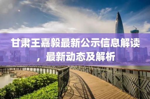 甘肃王嘉毅最新公示信息解读，最新动态及解析