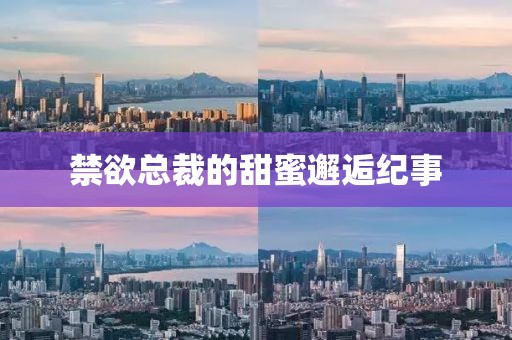 禁欲总裁的甜蜜邂逅纪事