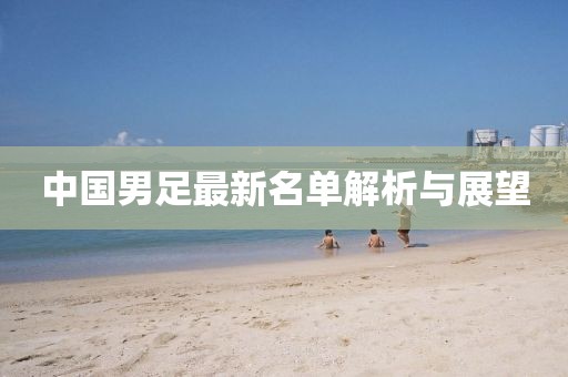 中国男足最新名单解析与展望