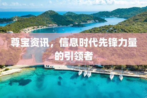 尊宝资讯，信息时代先锋力量的引领者