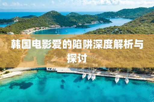 韩国电影爱的陷阱深度解析与探讨