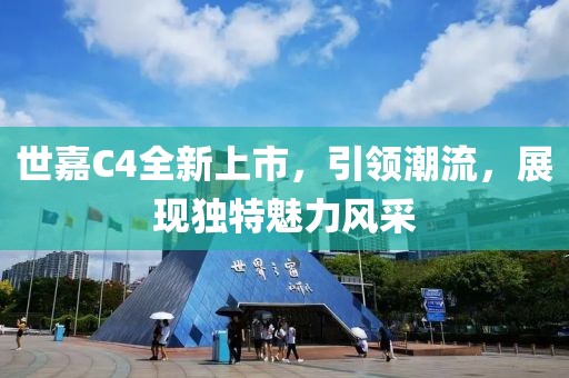 世嘉C4全新上市，引领潮流，展现独特魅力风采