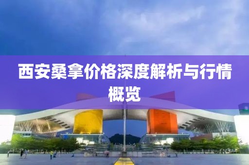 西安桑拿价格深度解析与行情概览