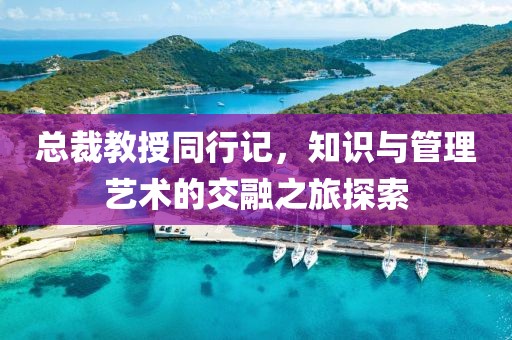 总裁教授同行记，知识与管理艺术的交融之旅探索