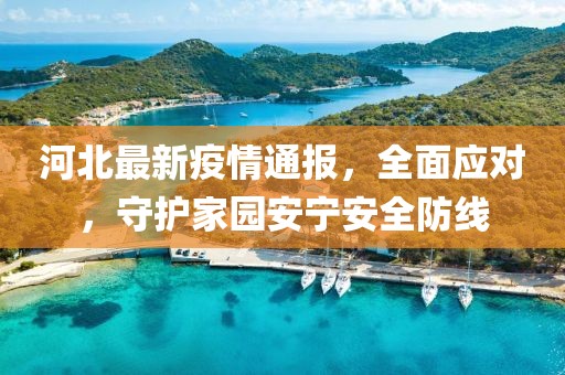 河北最新疫情通报，全面应对，守护家园安宁安全防线