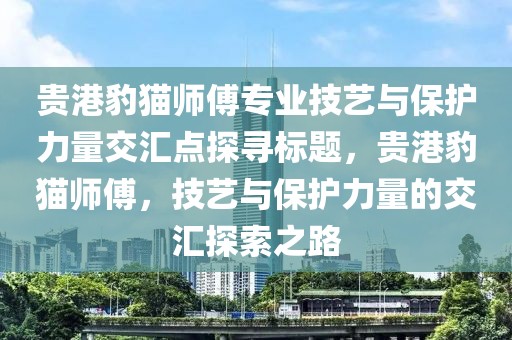 贵港豹猫师傅专业技艺与保护力量交汇点探寻标题，贵港豹猫师傅，技艺与保护力量的交汇探索之路