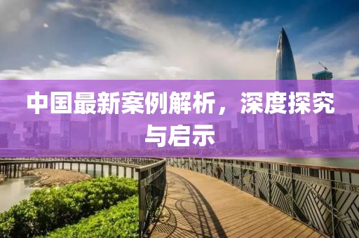 中国最新案例解析，深度探究与启示