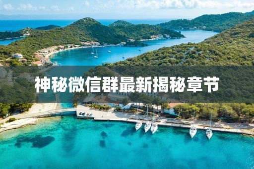神秘微信群最新揭秘章节