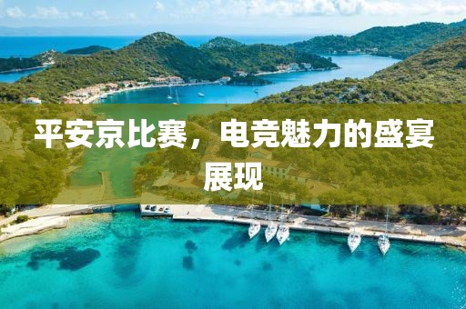 平安京比赛，电竞魅力的盛宴展现