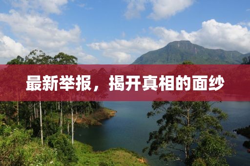 最新举报，揭开真相的面纱