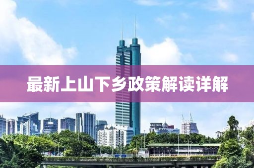 最新上山下乡政策解读详解