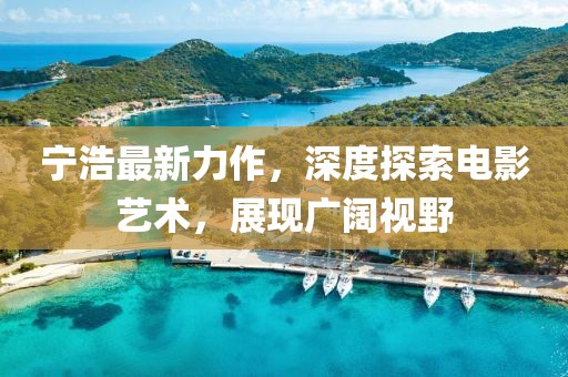 宁浩最新力作，深度探索电影艺术，展现广阔视野