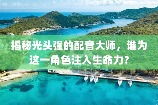 揭秘光头强的配音大师，谁为这一角色注入生命力？