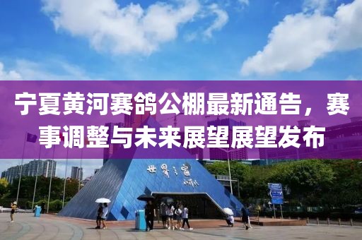 宁夏黄河赛鸽公棚最新通告，赛事调整与未来展望展望发布