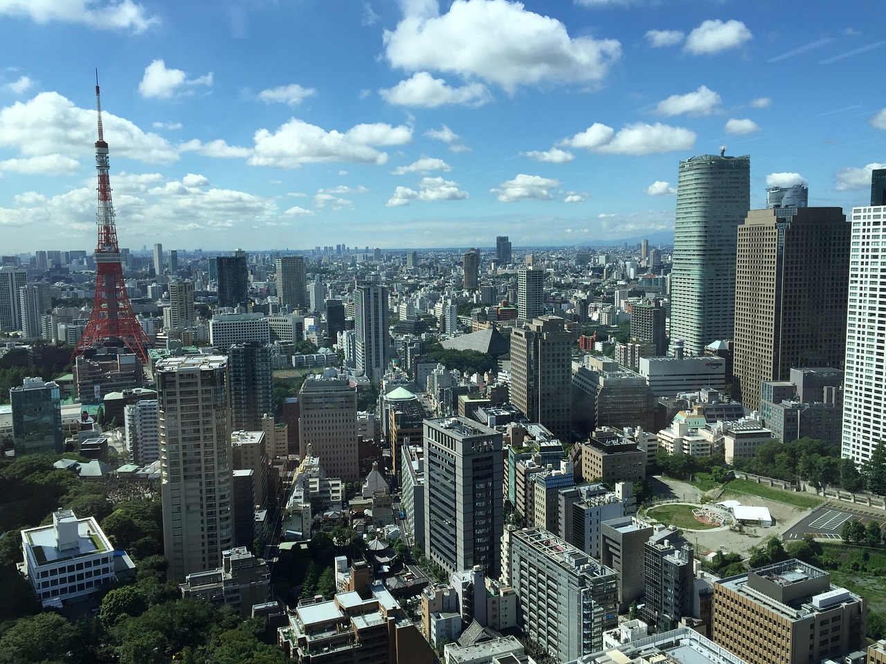最新原油行情深度解析与展望