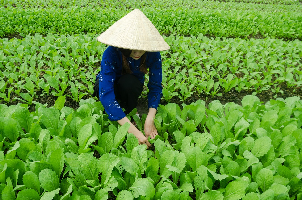 辽宁黑山姜屯最新发展动态，探寻地区发展的脉搏