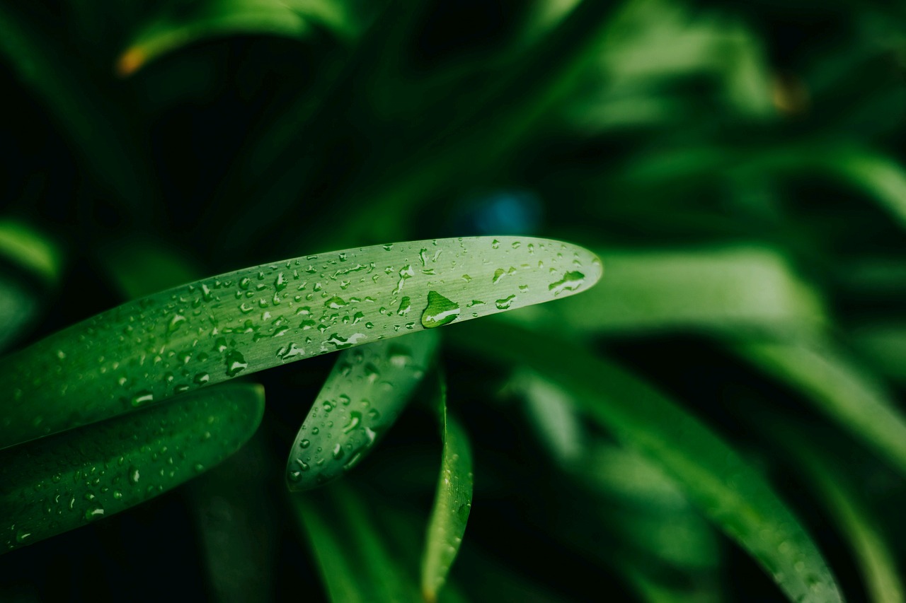 探索生物信息学的未来，生信前沿动态与无限潜力