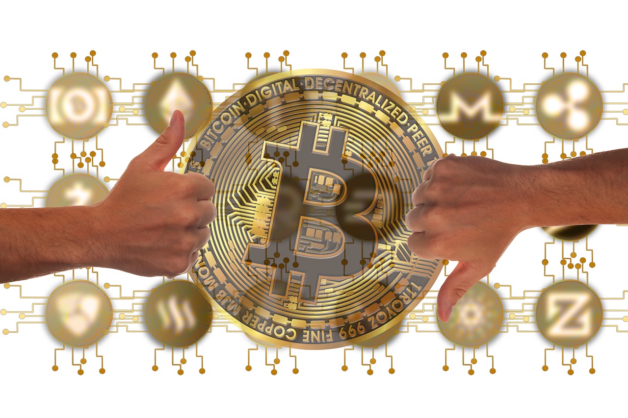 金乡蒜片最新价格及动态分析