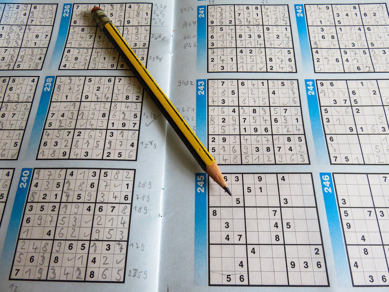 香港6合开奖结果+开奖记录2023，解决问题的AM4910.99