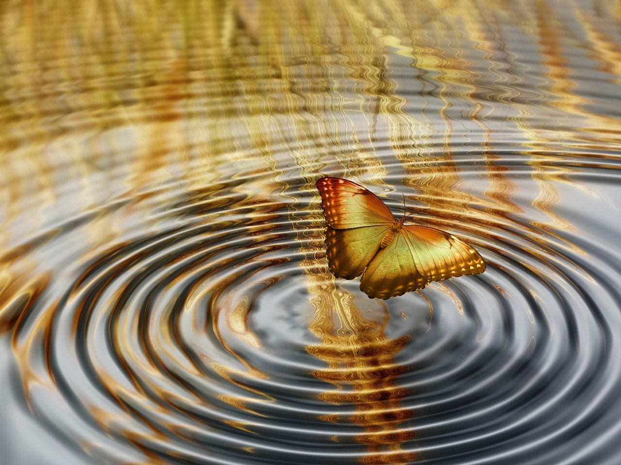 静水流枫最新章节探秘，揭秘未知之谜
