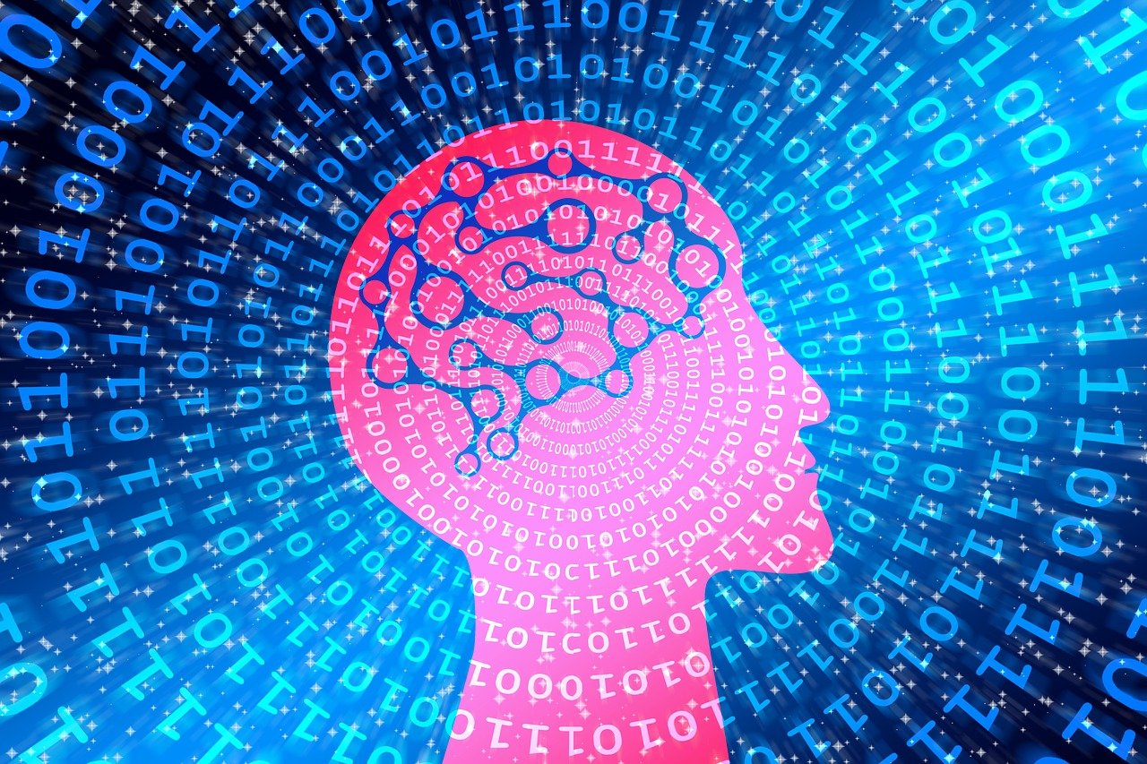 XP精选集合，数字时代的宝藏探索