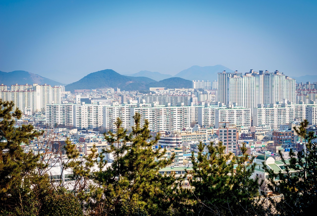 杭州余杭五常区未来城市发展的蓝图规划揭秘