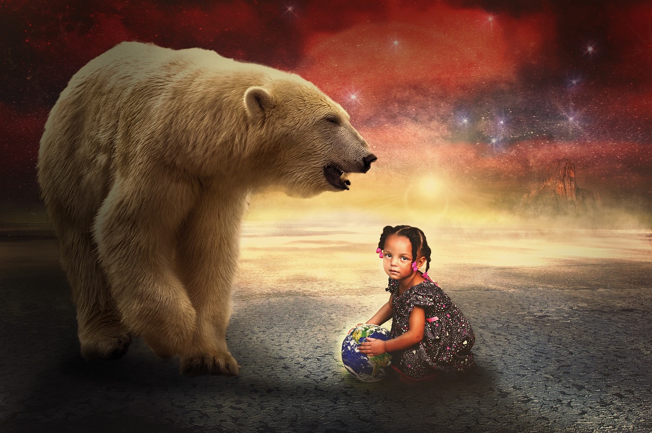 明星狗图片，星光瞬间的魅力四溢