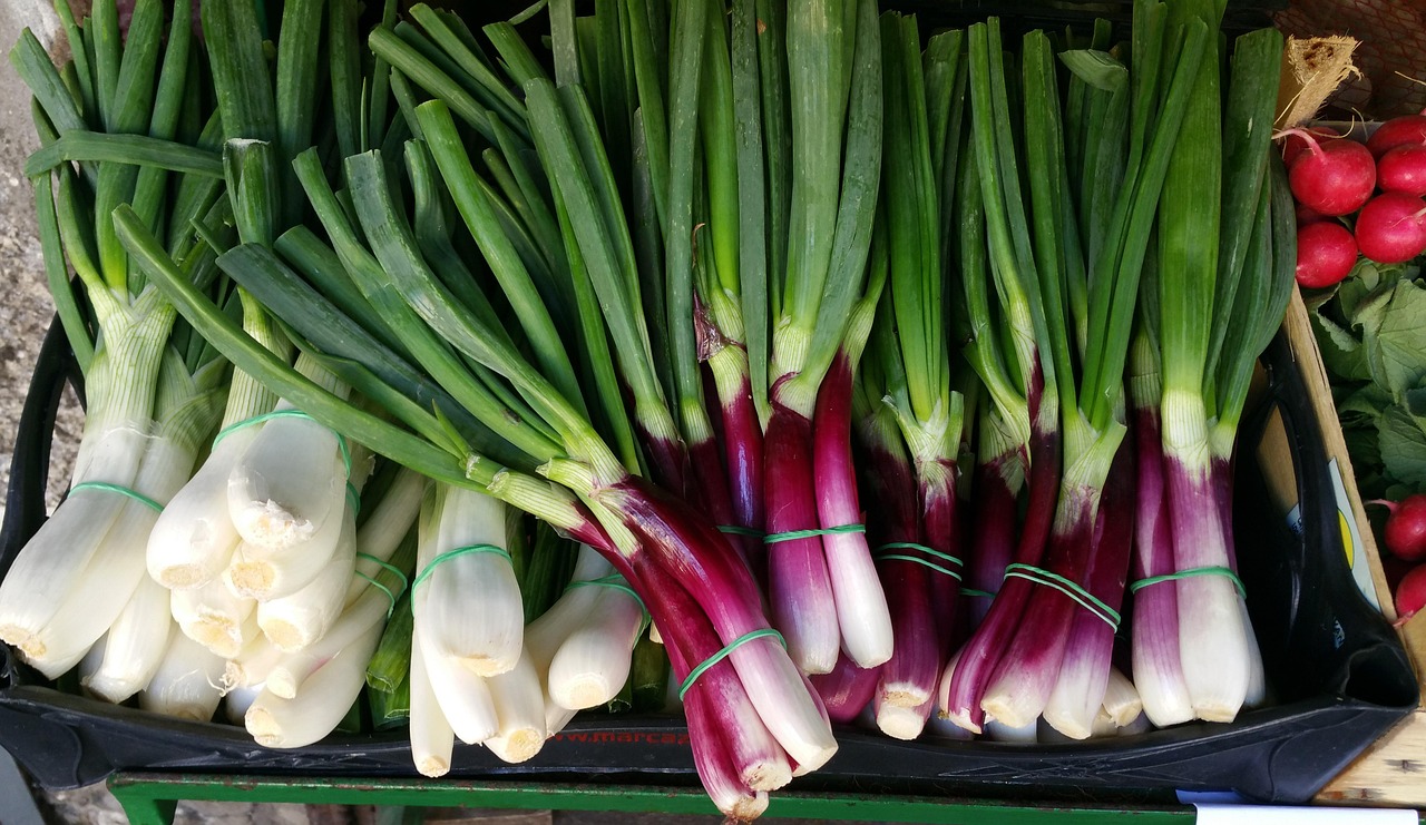 2023年玉米价格动态走势分析