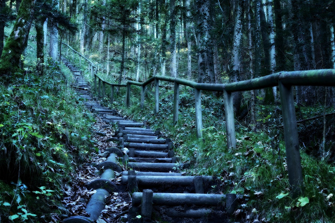 探寻神秘世界的奇幻之旅，花间高手最新章节免费阅读