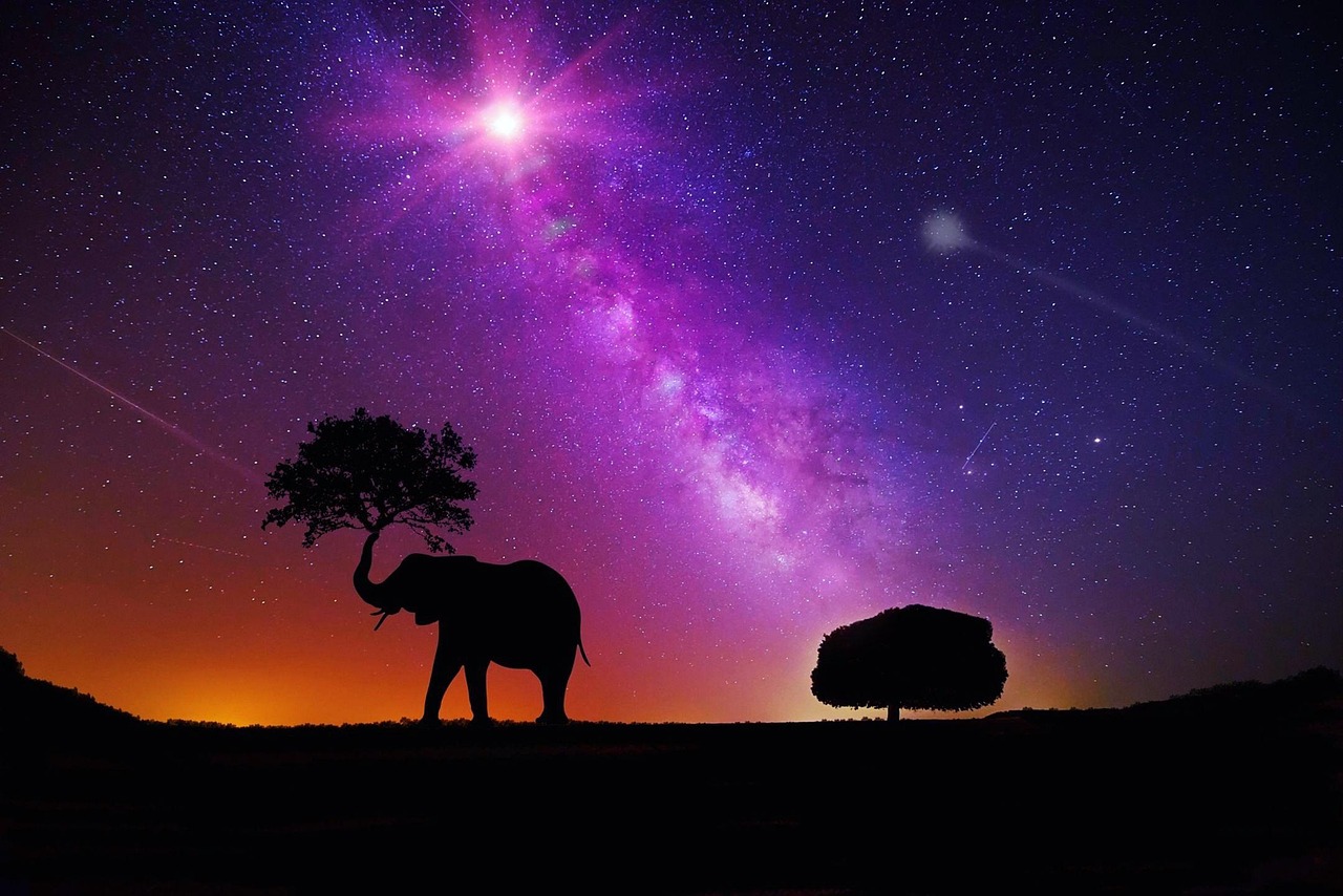 高唐明星璀璨文化天空