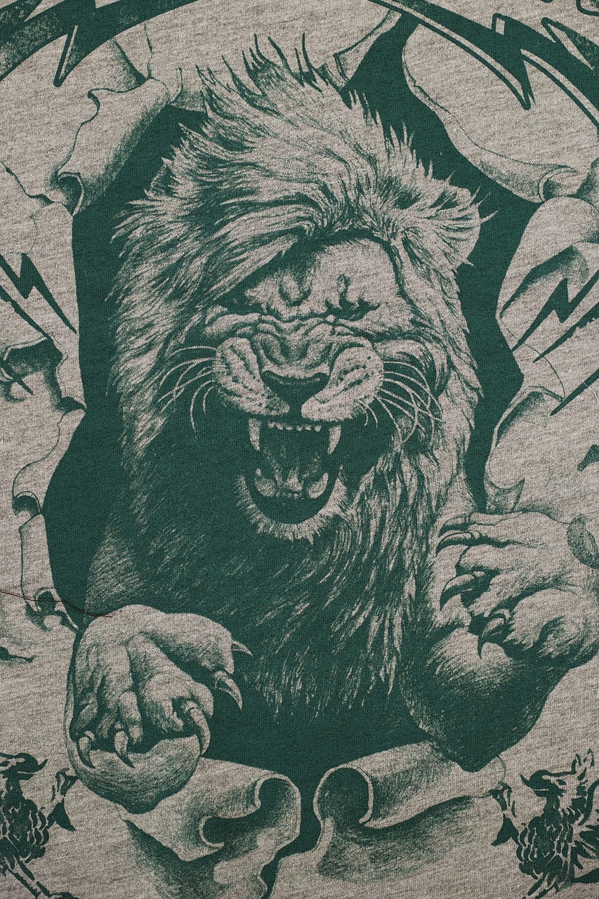 QQ动漫头像，男生的独特选择与个性表达——男生动漫头像精选