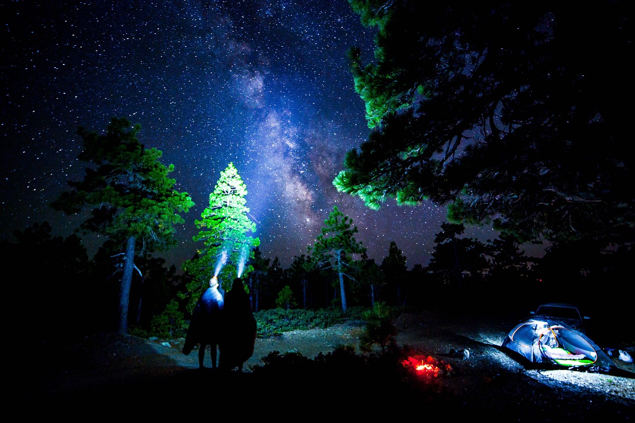 璀璨文体明星，照亮文化天空的星辰之光