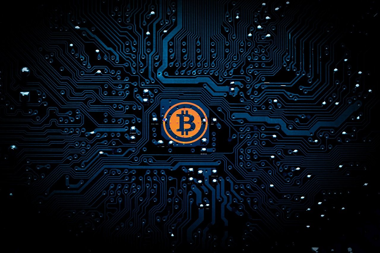 杨文娜，演员之路的闪耀之星